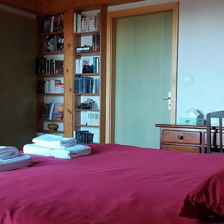 La Canopee Alsacienne - Magnifique Maison A Ribeauville Εξωτερικό φωτογραφία