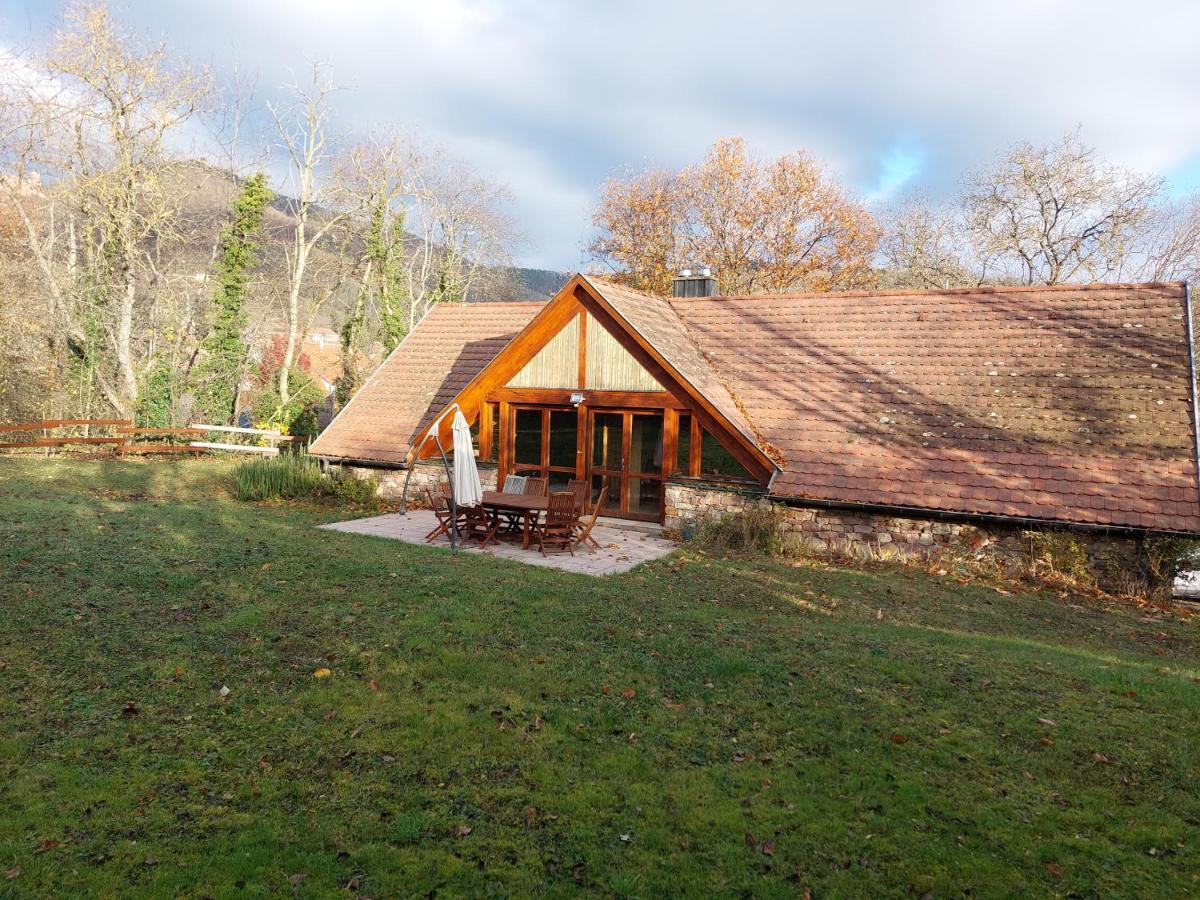 La Canopee Alsacienne - Magnifique Maison A Ribeauville Εξωτερικό φωτογραφία