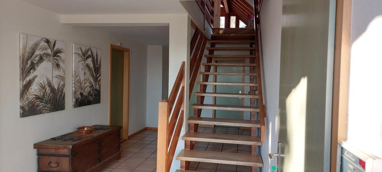La Canopee Alsacienne - Magnifique Maison A Ribeauville Εξωτερικό φωτογραφία